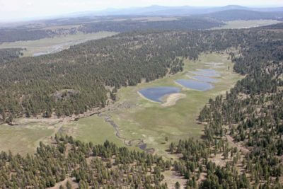 Aerial view of Ruggs Ranch water bodies