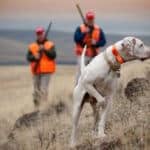 Hunters with dog in field