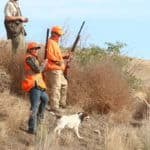 Hunters with dogs in the field